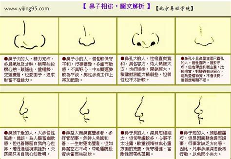 鼻孔大的人|面相识别: 如何通过鼻子看一个人! 看懂就赚大了